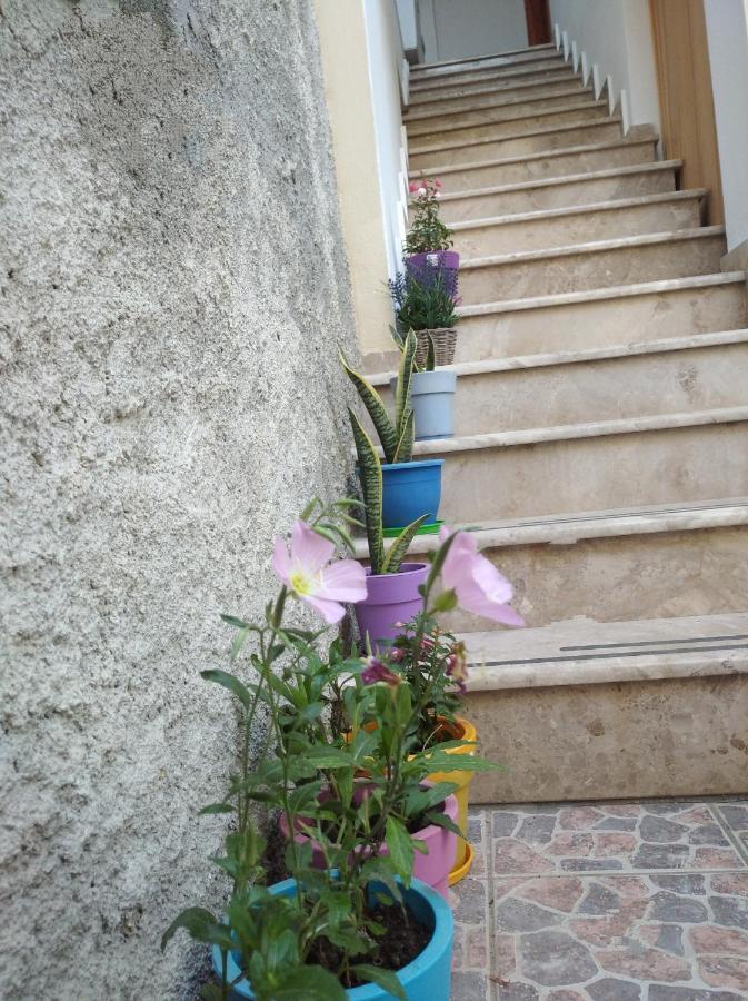 Villa Vasili Skiathos Exteriér fotografie
